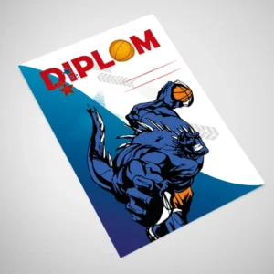 Diplom basketbal 1