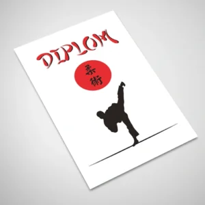 Diplom karate 1