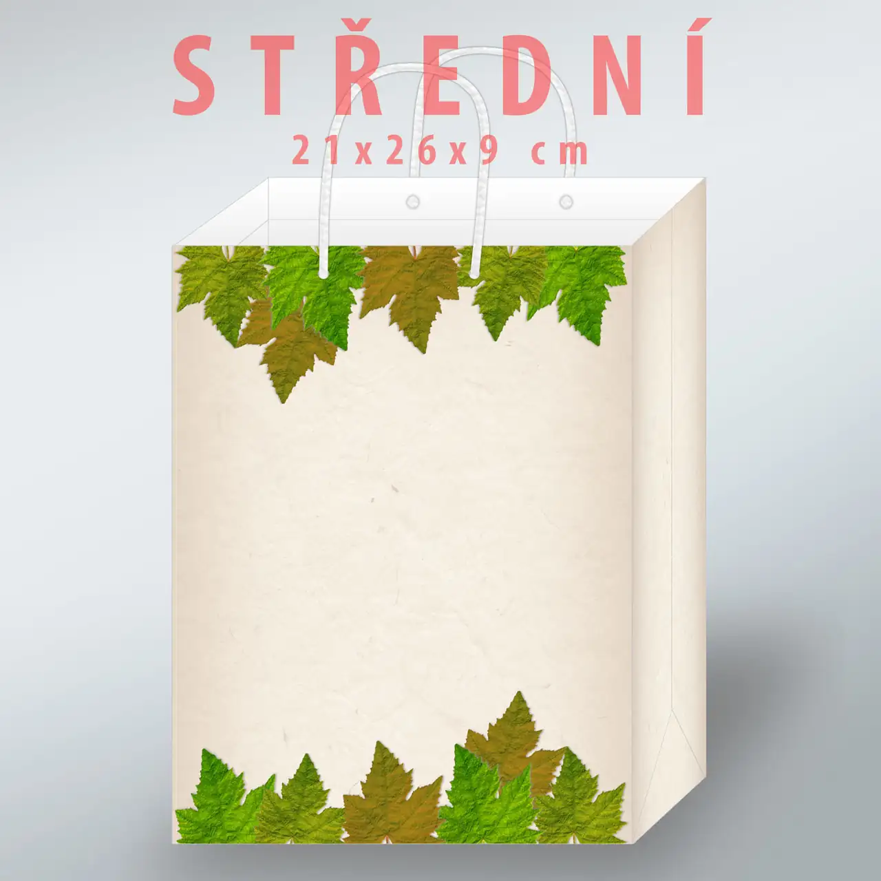 Dárková taška 5 - Obrázek 2