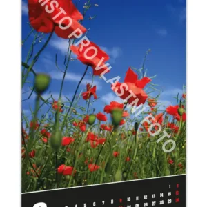 Kalendář nástěnný A4/A3 na výšku typ 1