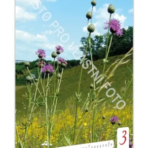 Kalendář nástěnný A4/A3 na výšku typ 5